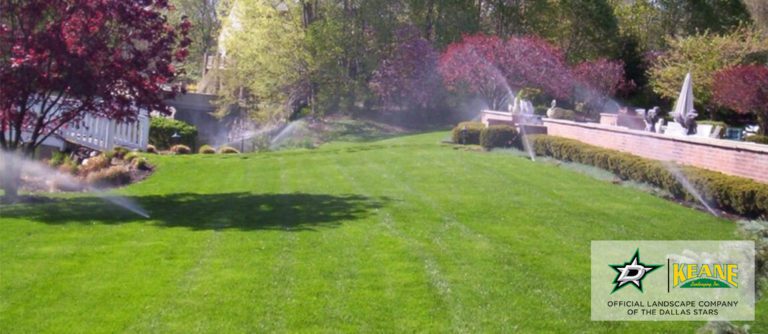 dallas water restriction service