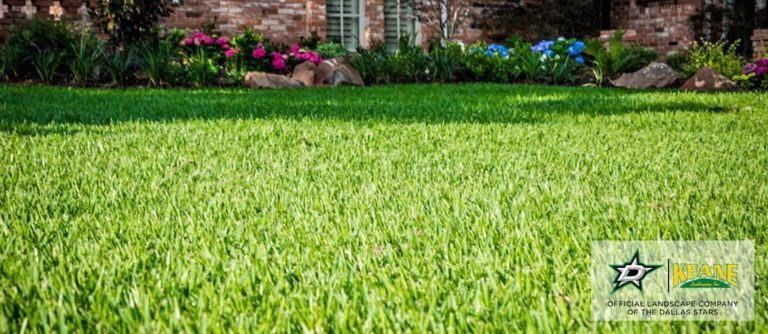 drip irrigation company