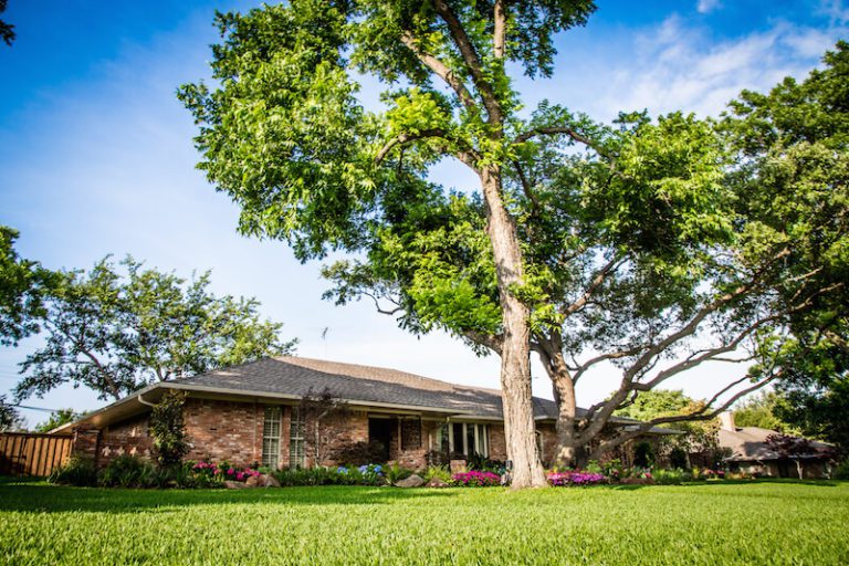 beautiful lawn design in dallas