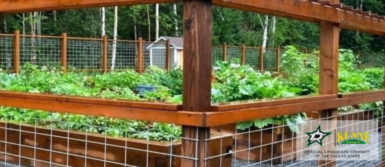 wooden fence for lawn