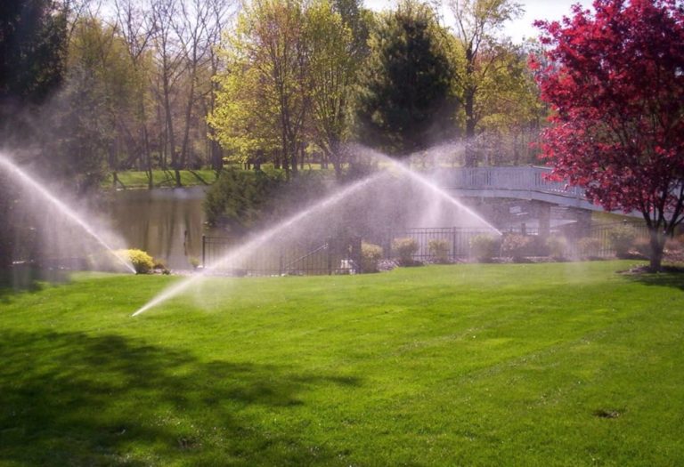 irrigation with sprinkler