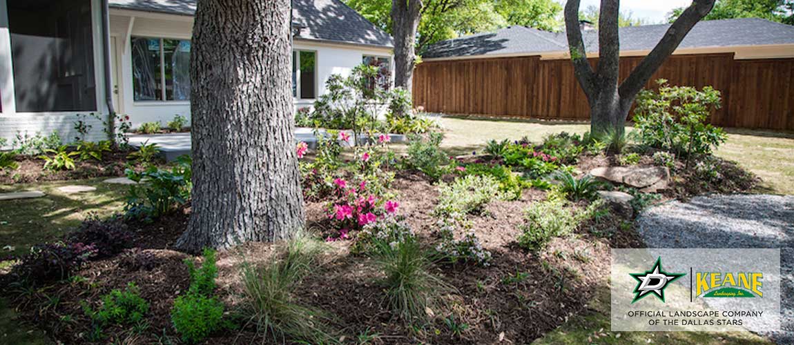 best pruning services near dallas