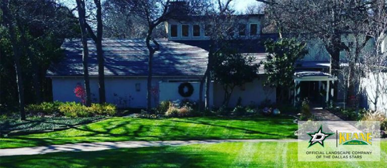 sod installation company in dallas