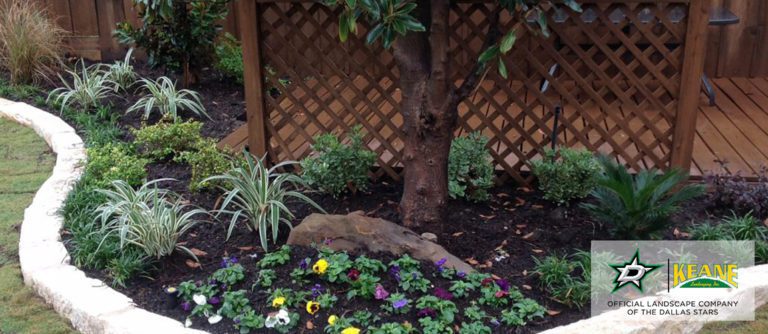 Dallas Landscaping mulch