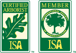 keane landscaping has ISA certified professionals