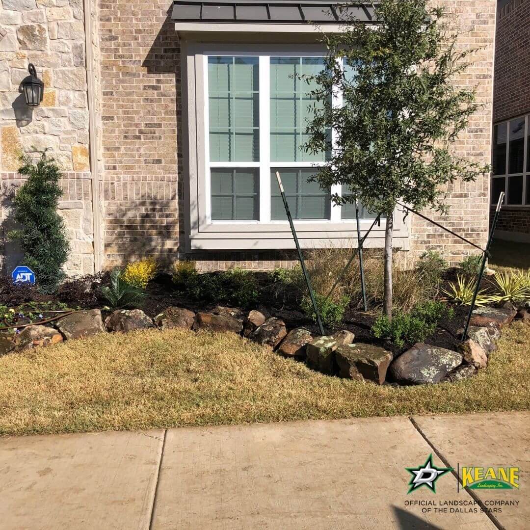 boulder-edging-service-in-dallas