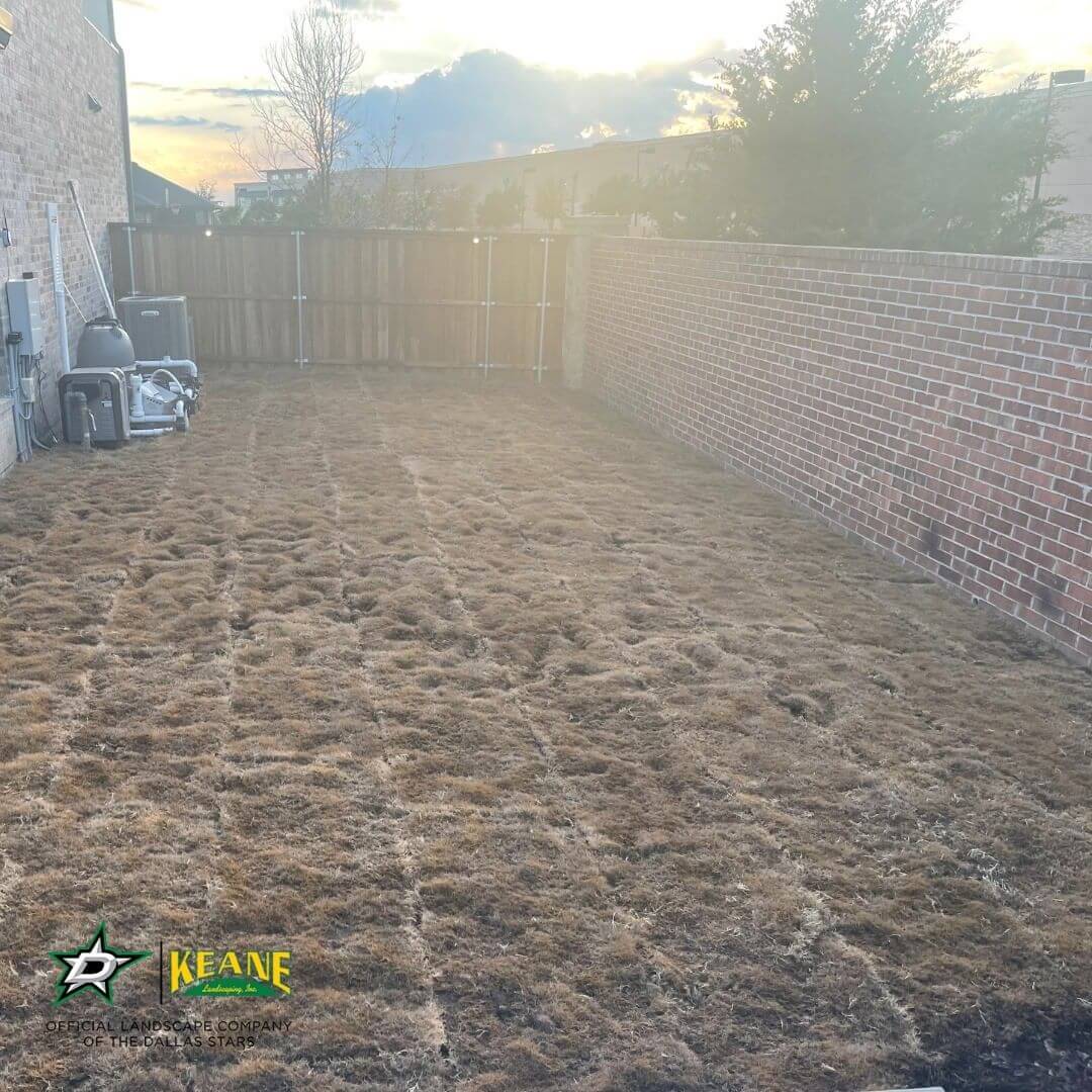 complete-backyard-landscaping-in-dallas