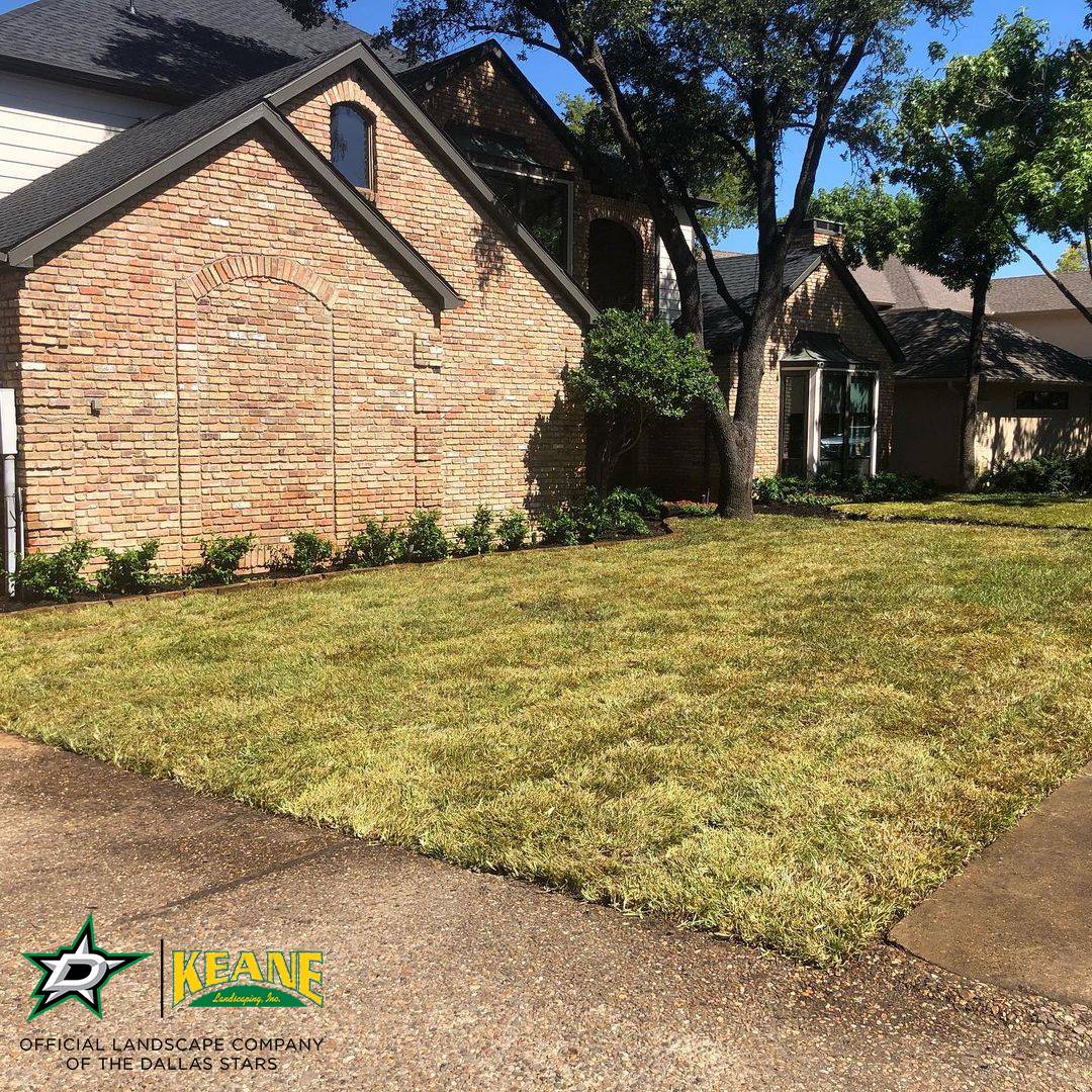 backyard-sod-grass-installation-services