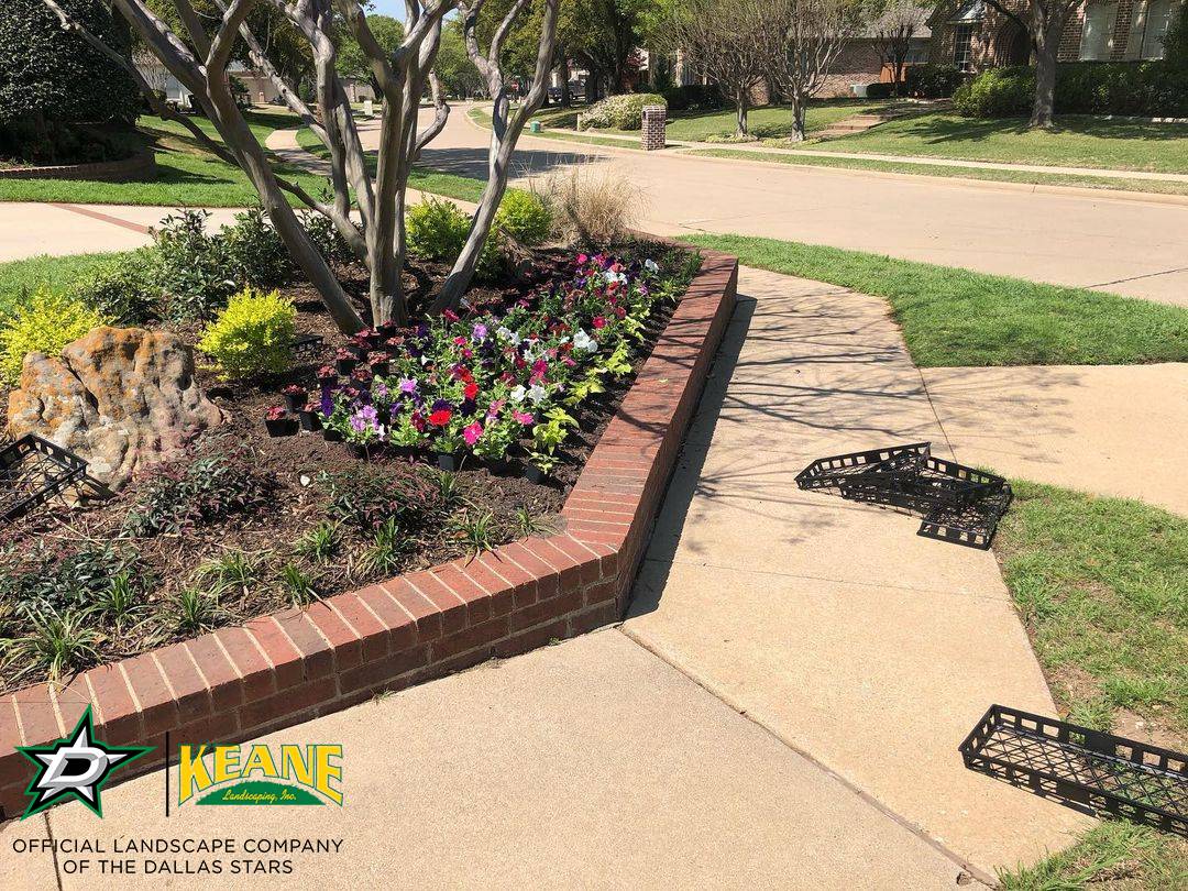 new-spring-plant-installation-bedding-and-mulching