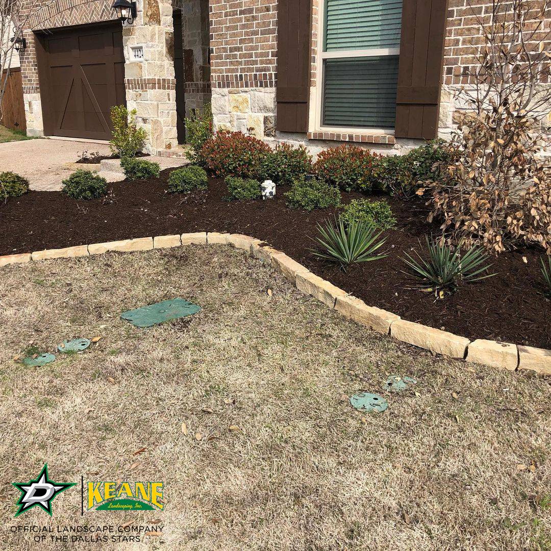 Spring Blooming Installation Services In Dallas 