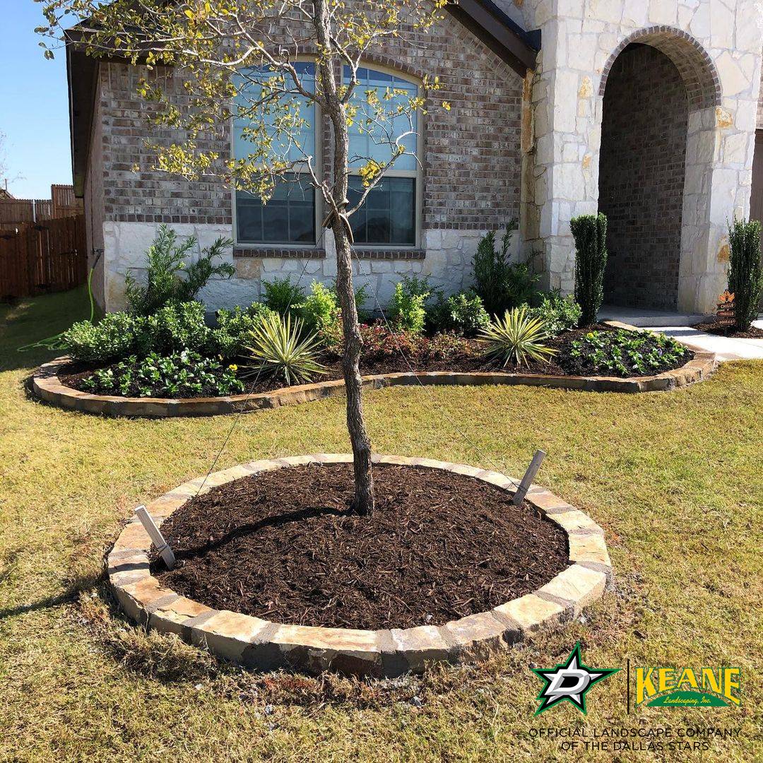 Tree Stone Edging Services in Dallas, TX | Tree Ring Edging Stone