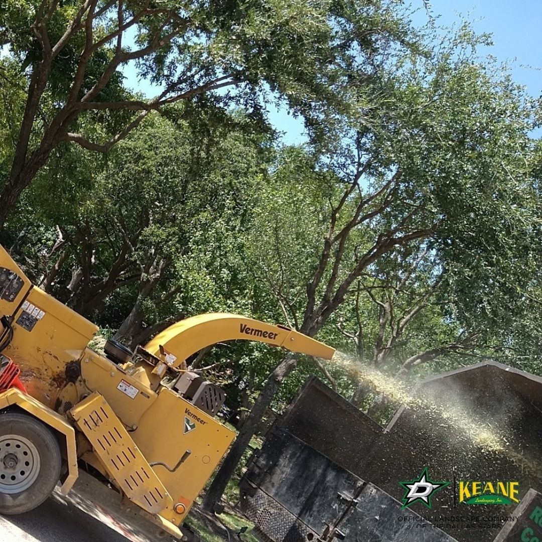 brush chipping service