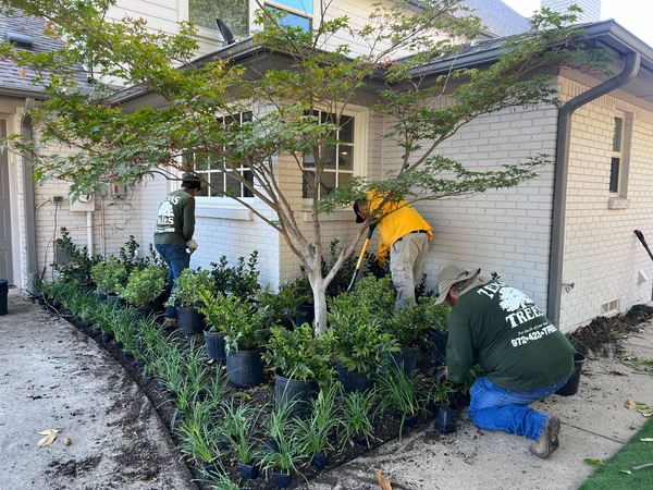 Landscape design in Double Oak