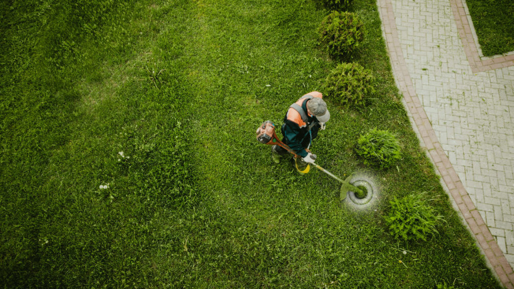 Fall Lawn Care