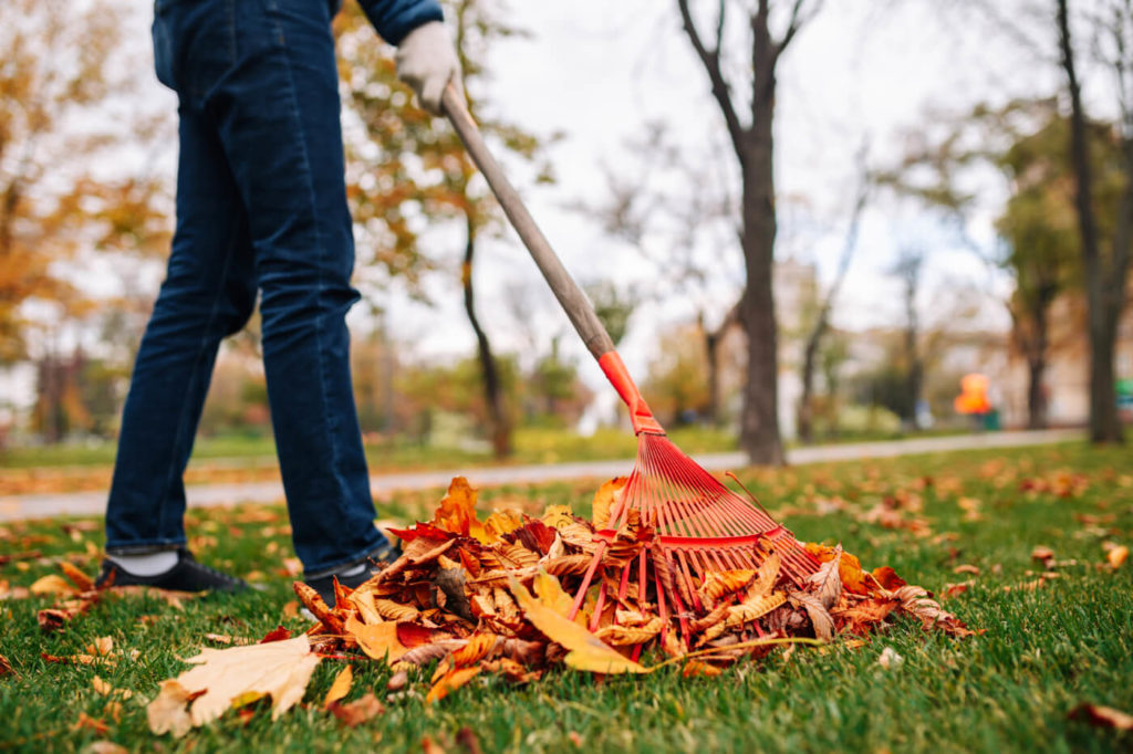 The Pros and Cons of Raking Leaves vs. Mulching Them in the Fall