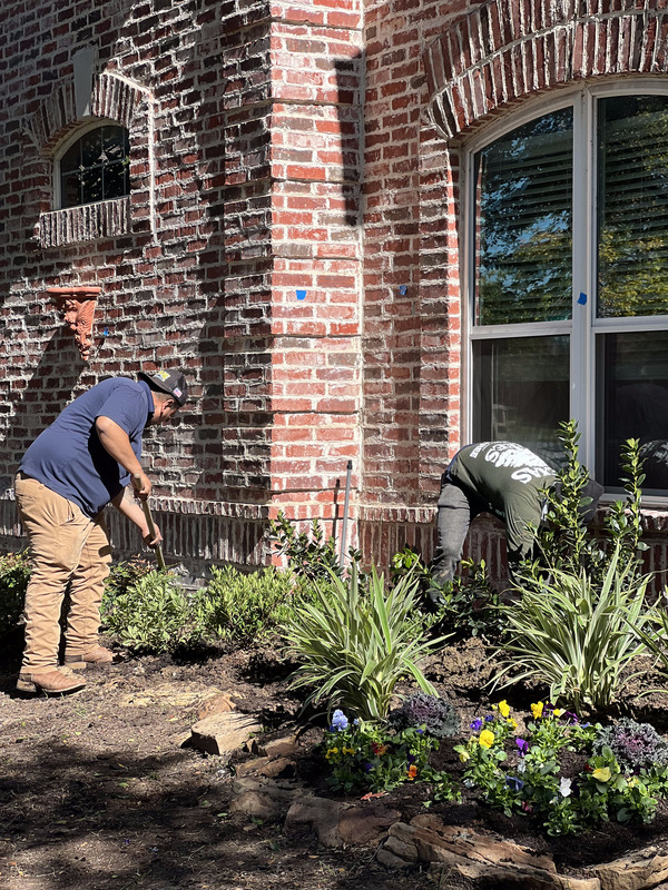 seasonal flower plantation