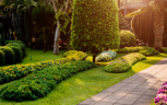 Commercial Landscaping