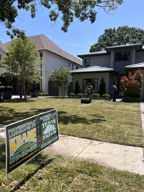 Sod installation and landscape installation in Dallas, TX