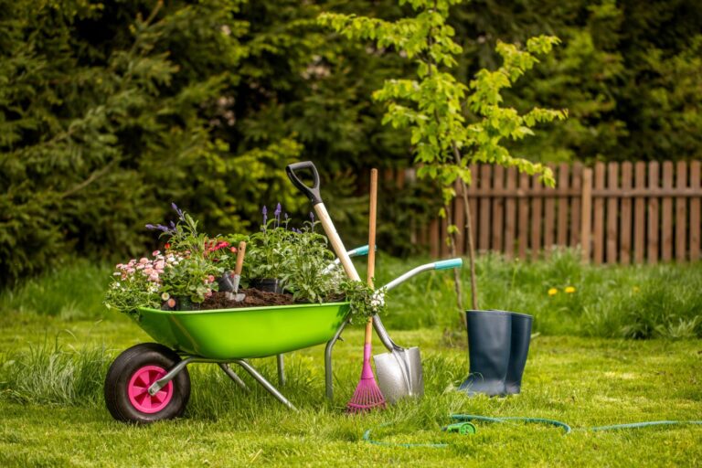 Essential Spring Lawn and Landscaping Maintenance Tips