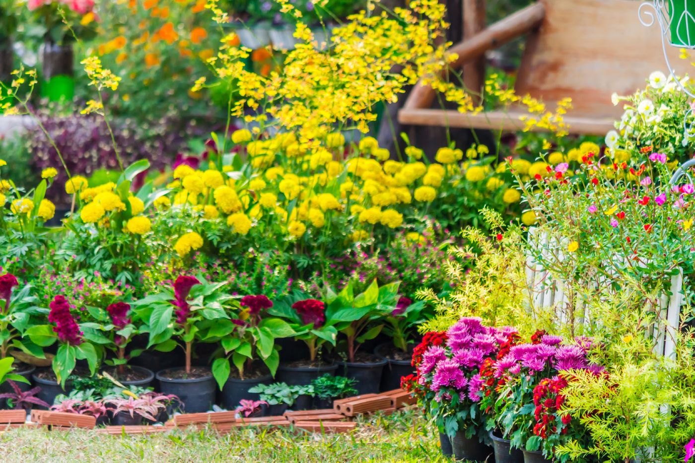 Spring Gardening