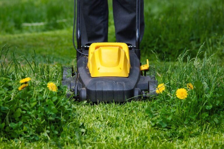 Spring Lawn Care