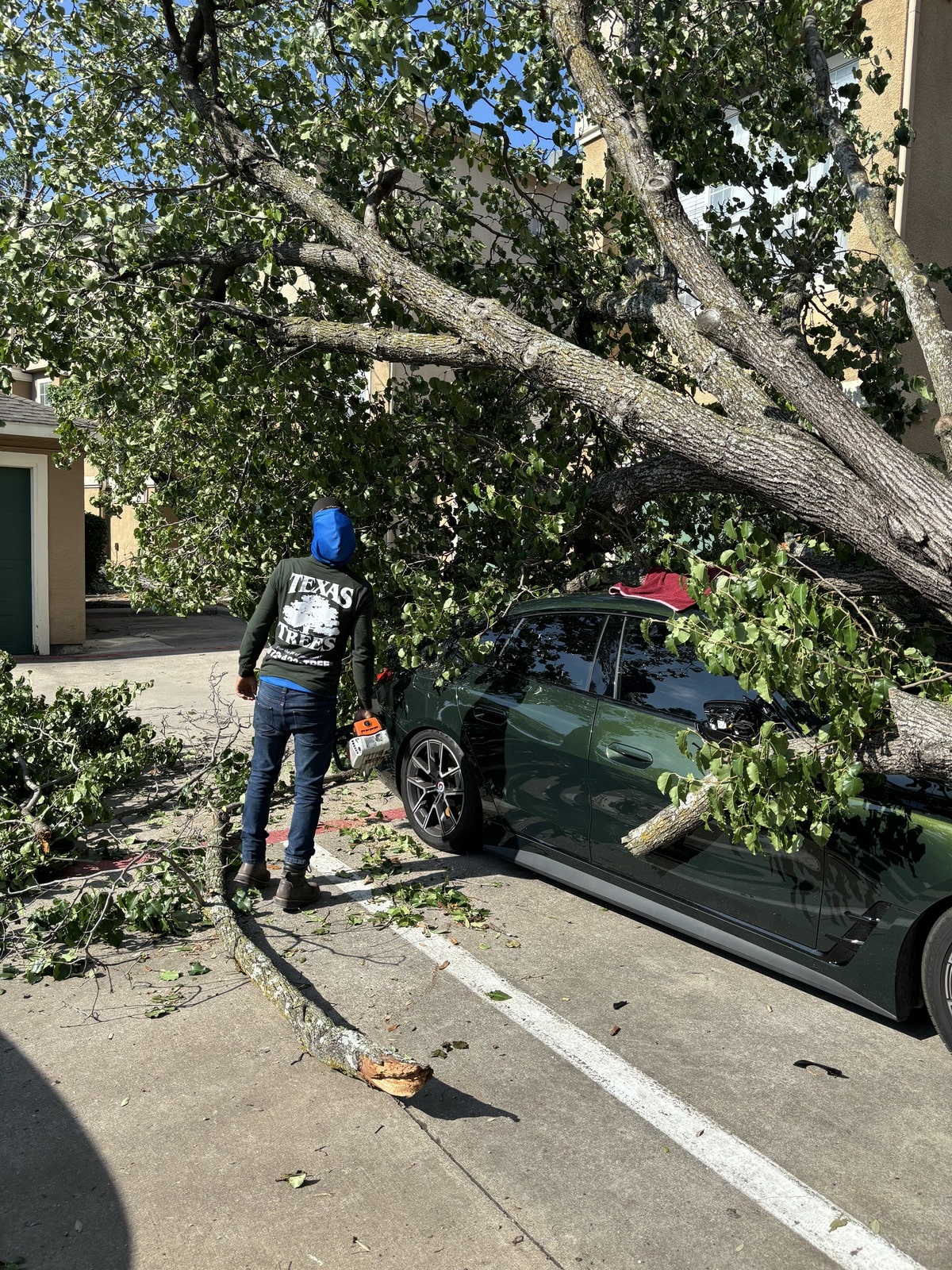 Emergency Tree Removal