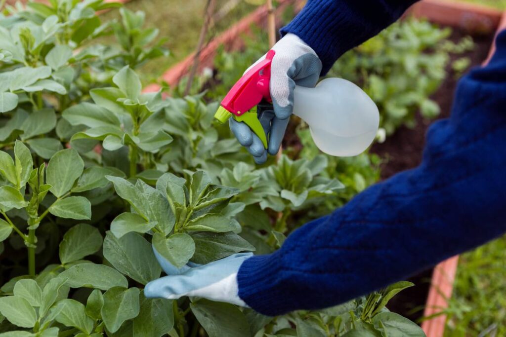 Pest and Weed Issues