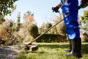 Professional Lawn Maintenance