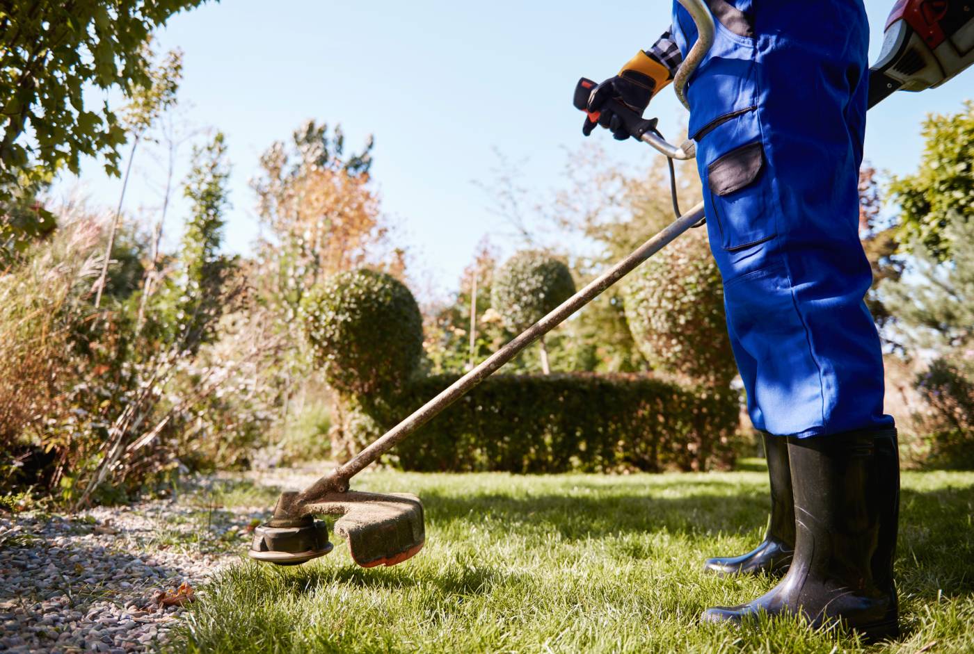 Professional Lawn Maintenance