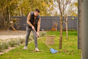 Fall-to-Winter Lawn Transition Guide