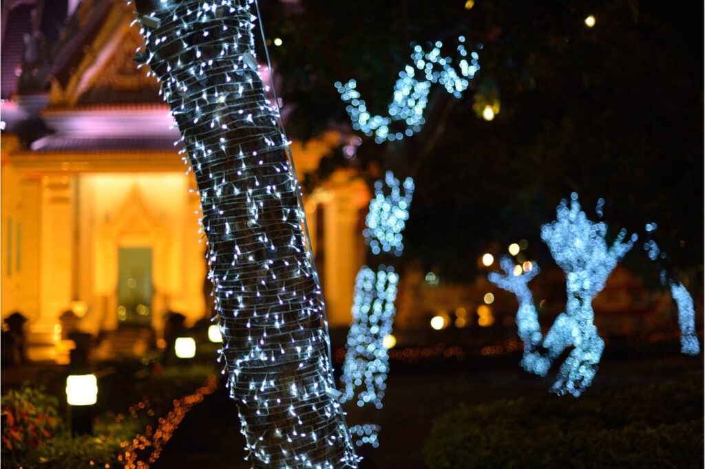 Holiday Lighting & Outdoor Décor