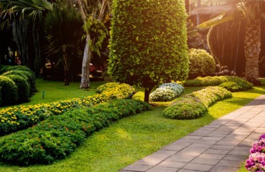 Commercial-Landscape-Design-Services img