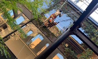 best arborist services in dallas working on a project