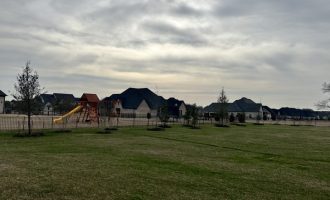 Backyard Landscape in Lucas