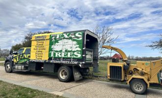Commercial Tree Services