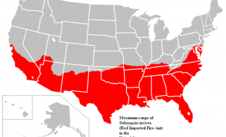 fire ant map