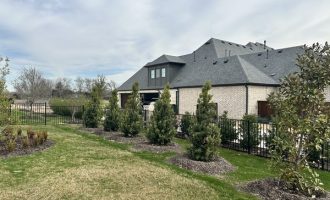 Front And Backyard Landscape in Lucas