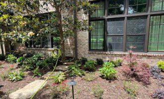 amazingFront + back landscaping and pots project in dallas