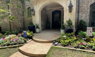 Front + back landscaping and pots project ideas