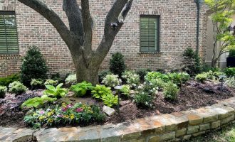 Front + back landscaping and pots project ideas for dallas landscaping