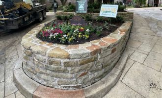 Front + back landscaping and pots project ideas in dfw