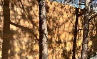 IPE Wood Fence