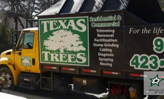 best tree service company in dallas