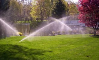 irrigation with sprinkler