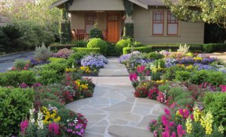 flowers for fall gardening in highland park lawn
