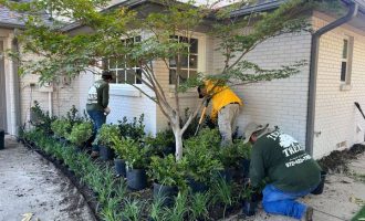 Landscape design in Double Oak