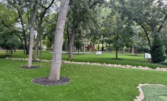 Landscaping in Lucas