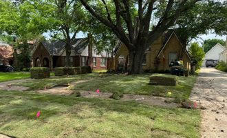 Sod Install in Dallas