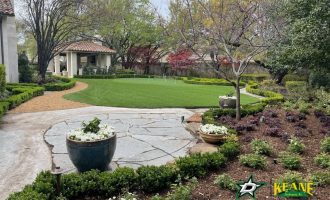 Spring backyard remodeling4