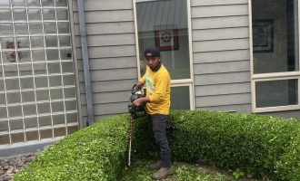 Spring lawn care services in DFW and the surrounding area2